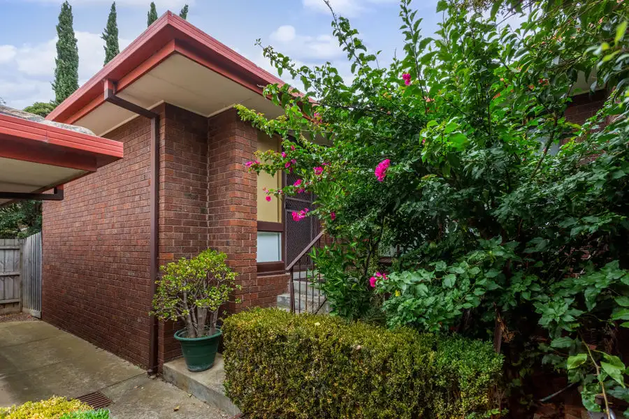 Main view of Homely unit listing, 4/483 Albion Street, Brunswick West VIC 3055