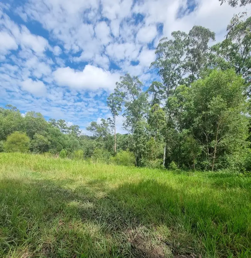 Main view of Homely rural property listing, 54 McDougall Place, Fernmount NSW 2454