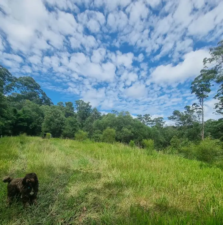 Second view of Homely rural property listing, 54 McDougall Place, Fernmount NSW 2454