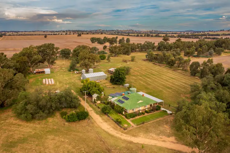 3946 Olympic Hwy "BROOKFIELD", Henty NSW 2658