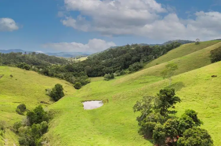 Main view of Homely rural property listing, 1609 Toms Creek Road, Toms Creek NSW 2446