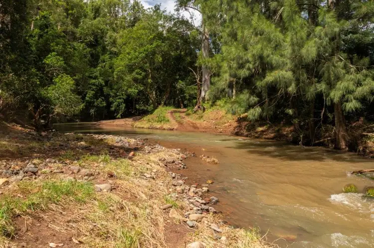 Third view of Homely rural property listing, 1609 Toms Creek Road, Toms Creek NSW 2446