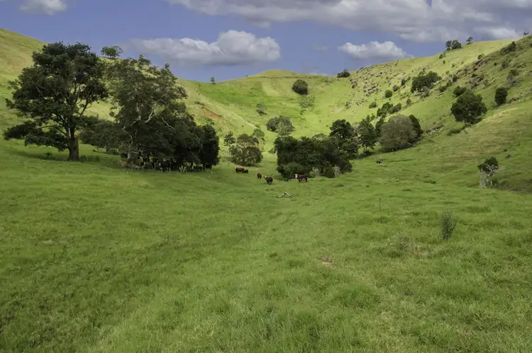 Fifth view of Homely rural property listing, 1609 Toms Creek Road, Toms Creek NSW 2446