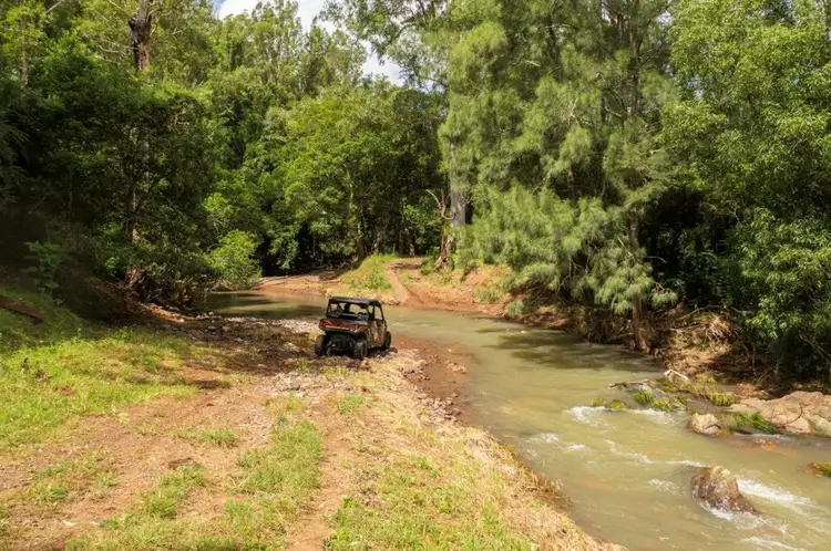 Sixth view of Homely rural property listing, 1609 Toms Creek Road, Toms Creek NSW 2446