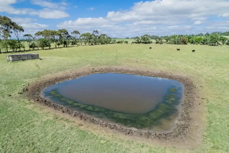 Fifth view of Homely rural property listing, 275 Warncoort-Birregurra Road, Birregurra VIC 3242