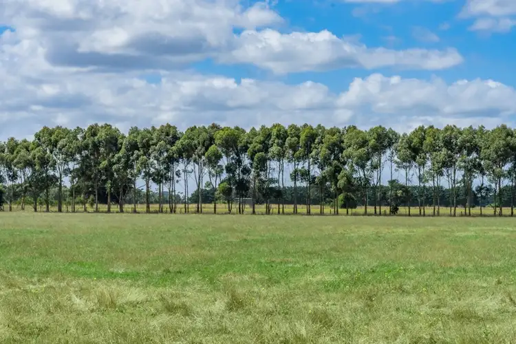 Sixth view of Homely rural property listing, 275 Warncoort-Birregurra Road, Birregurra VIC 3242