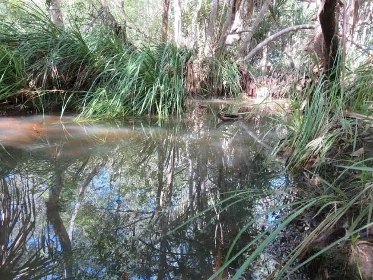 Fifth view of Homely land listing, 30 CARLISLE CRESCENT, Bloomsbury QLD 4799
