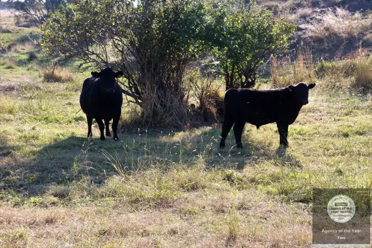 Sixth view of Homely house listing, 8626 Wee Jasper Road, Yass NSW 2582