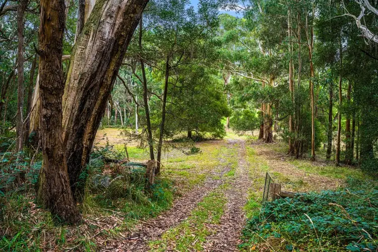 Second view of Homely land listing, 1680 Colac-Lavers Hill Road, Kawarren VIC 3249