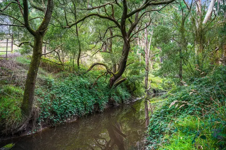 Fourth view of Homely land listing, 1680 Colac-Lavers Hill Road, Kawarren VIC 3249