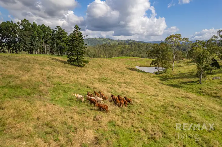 Main view of Homely land listing, 500 Newman Lane, Delaneys Creek QLD 4514