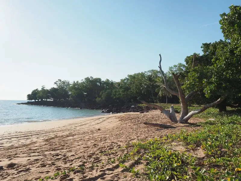 Main view of Homely rural property listing, 91 Marege Drive, Dundee Beach NT 840
