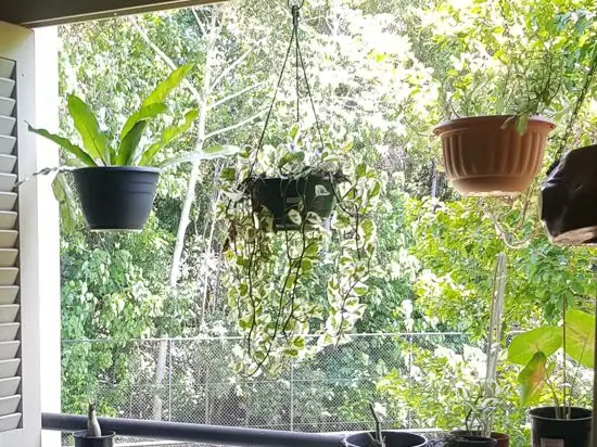 Fourth view of Homely unit listing, 2506 40 Clifton Road, Clifton Beach QLD 4879