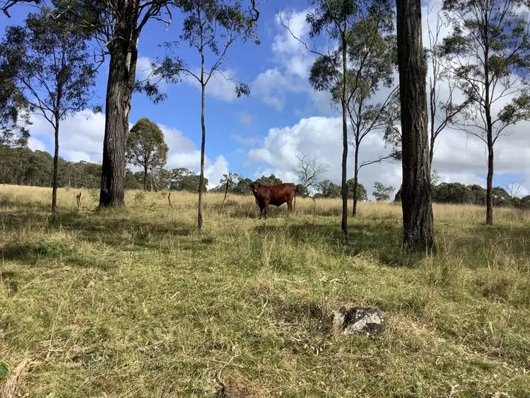 Fifth view of Homely rural property listing, 353 McLean Road, Pechey QLD 4352