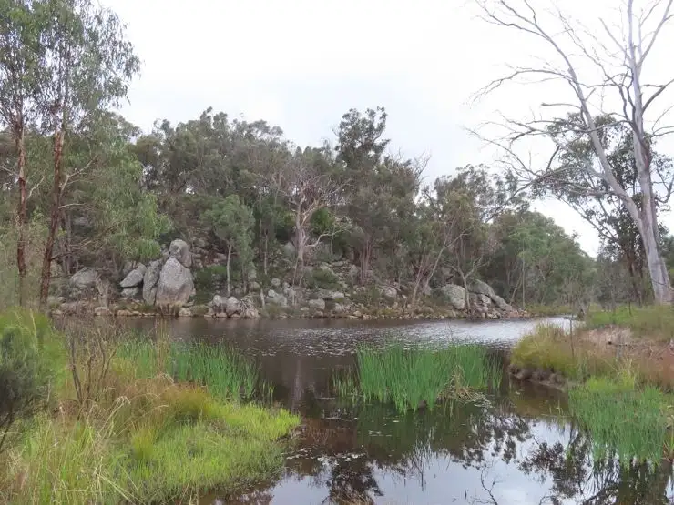 Second view of Homely rural property listing, 429 Amosfield Road, Stanthorpe QLD 4380