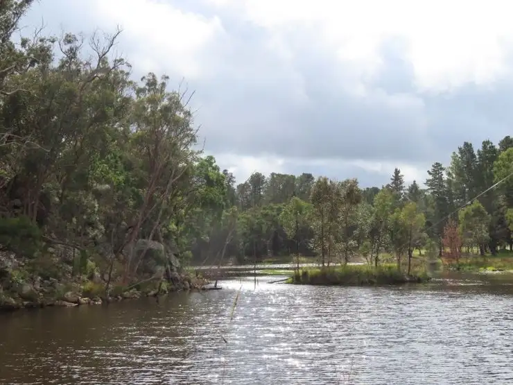 Fifth view of Homely rural property listing, 429 Amosfield Road, Stanthorpe QLD 4380