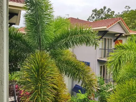 Main view of Homely unit listing, Block 24 40 Clifton Road, Clifton Beach QLD 4879