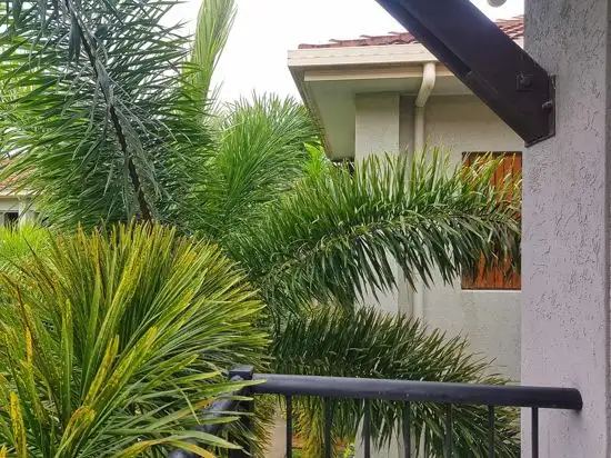 Fifth view of Homely unit listing, Block 24 40 Clifton Road, Clifton Beach QLD 4879