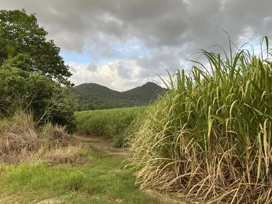 Third view of Homely rural property listing, Lot 3 Spataro Road, Babinda QLD 4861