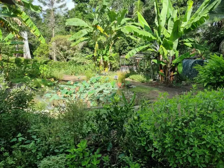 150 Collins Road, Ninderry QLD 4561