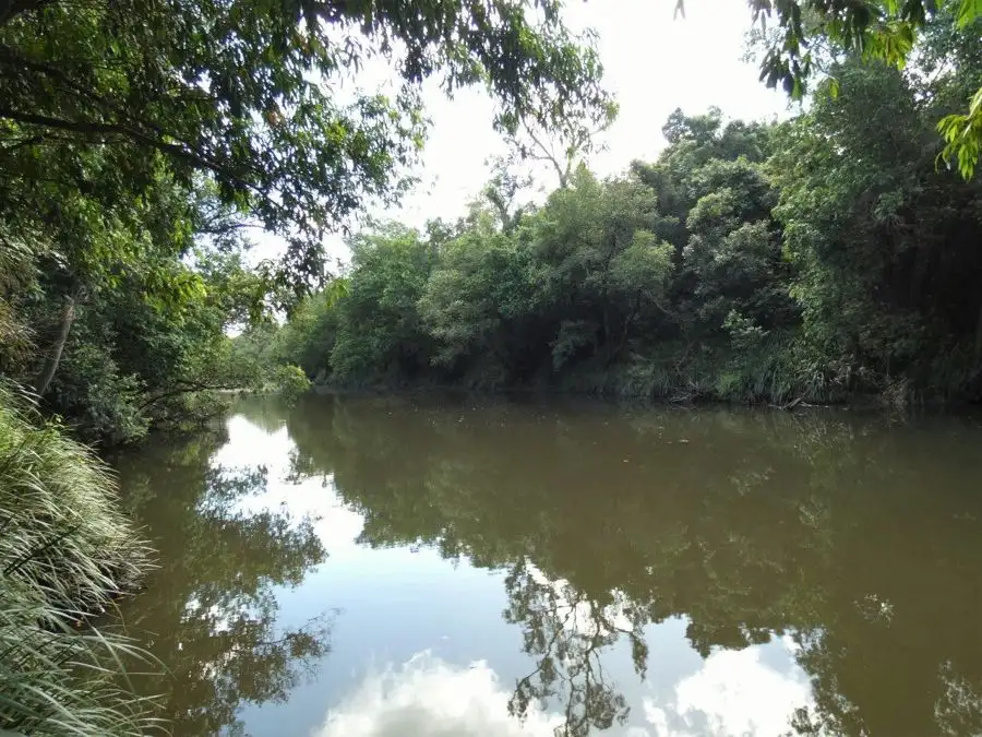 Main view of Homely rural property listing, 3583 Lowmead Road, Lowmead QLD 4676