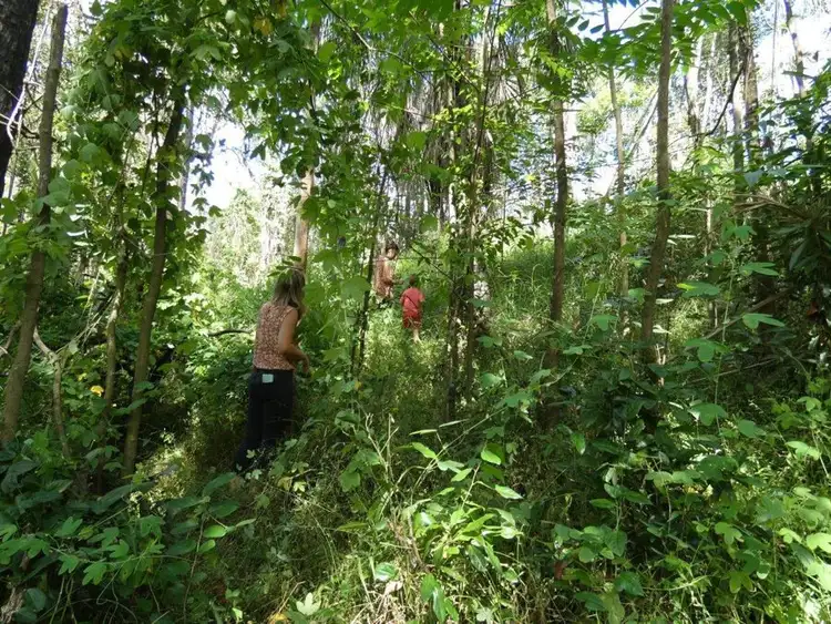 Third view of Homely rural property listing, 3583 Lowmead Road, Lowmead QLD 4676