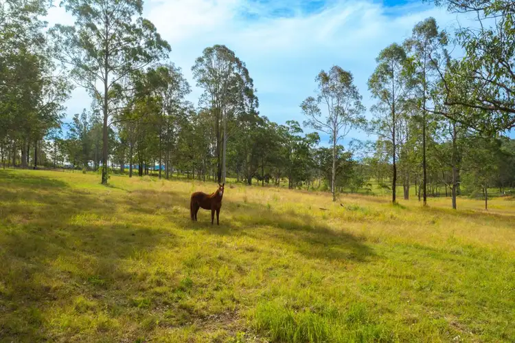 Main view of Homely rural property listing, 116 Silverwood Avenue, Temagog NSW 2440