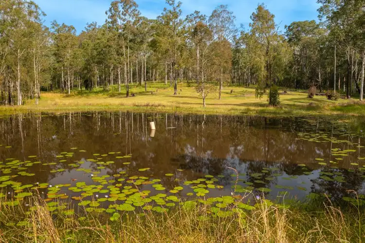 Fourth view of Homely rural property listing, 116 Silverwood Avenue, Temagog NSW 2440