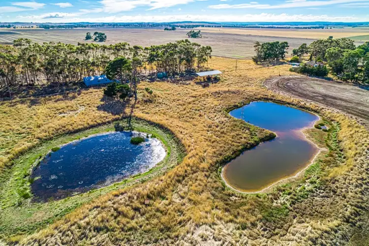 Sixth view of Homely rural property listing, 210 Cahills Lane, Mannibadar VIC 3360