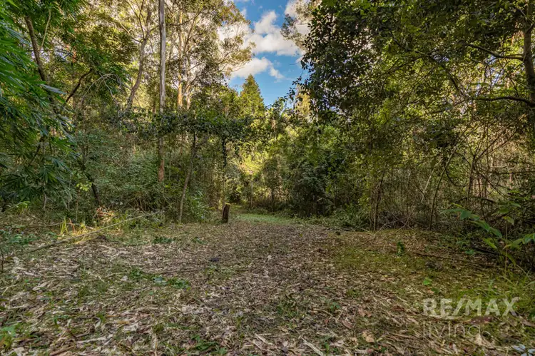 Seventh view of Homely land listing, 299 Fletcher Road, Stony Creek QLD 4514