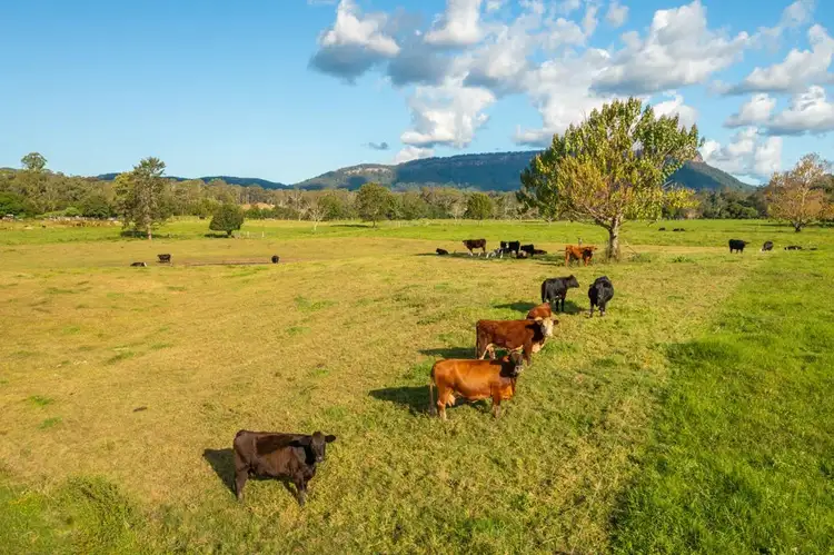 Third view of Homely land listing, Lot 6 Hewens Road, Brombin NSW 2446