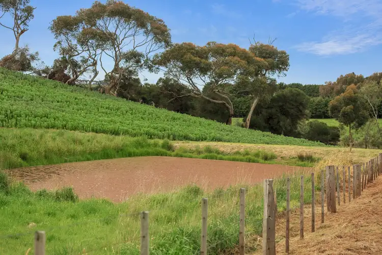 Sixth view of Homely rural property listing, Pear Tree,960 Barrabool Road, Barrabool VIC 3221