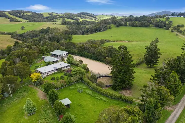 Third view of Homely rural property listing, 274 Slingsbys Road, Dorrigo NSW 2453