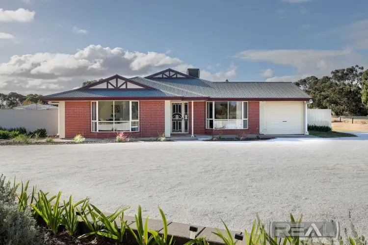 Main view of Homely house listing, 11 Palomino Court, Roseworthy SA 5371