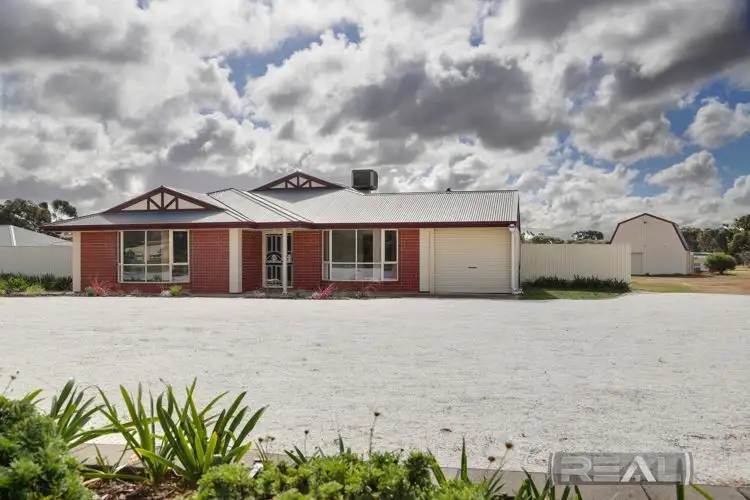 Second view of Homely house listing, 11 Palomino Court, Roseworthy SA 5371