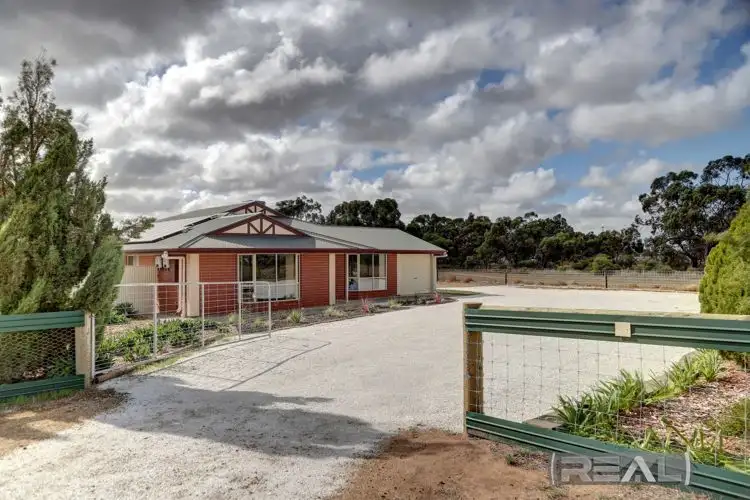 Third view of Homely house listing, 11 Palomino Court, Roseworthy SA 5371