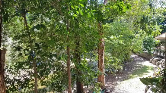 Sixth view of Homely unit listing, 1801 40 Clifton Road, Clifton Beach QLD 4879