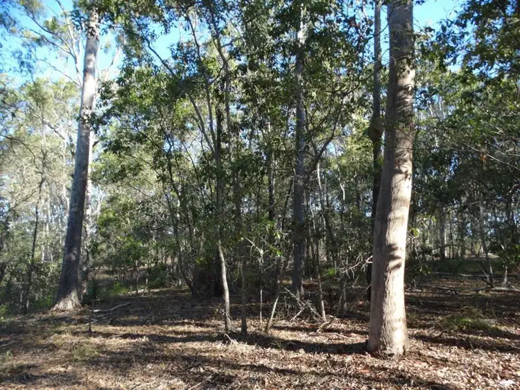Fourth view of Homely rural property listing, Lot 49 Kirkpatrick Road, Euleilah QLD 4674