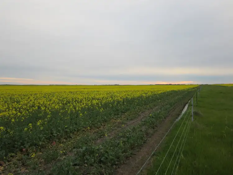 Fifth view of Homely rural property listing, Princes Highway, Wellington East SA 5259