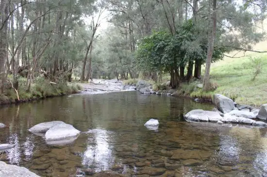 Seventh view of Homely rural property listing, 1 Glen Dyne Upper Rouchel Road, Rouchel NSW 2336