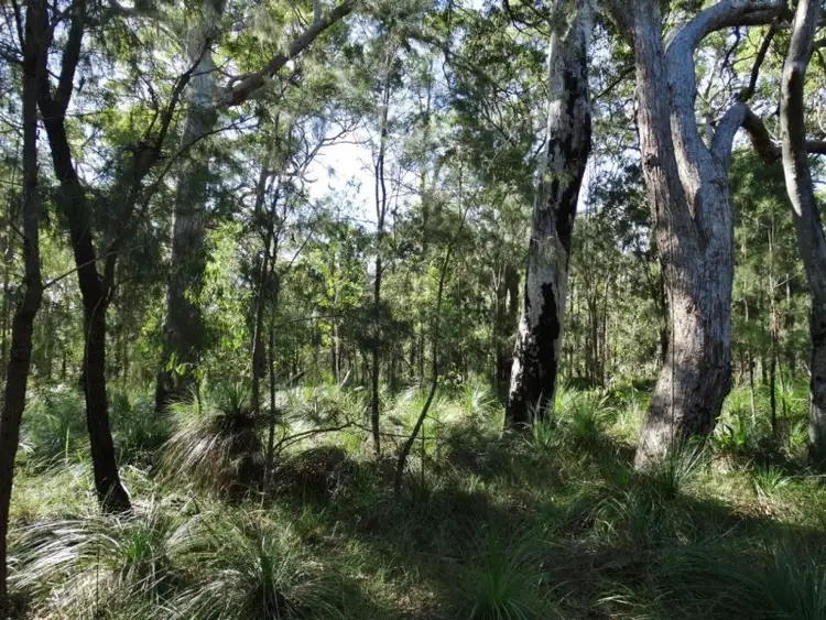 Third view of Homely rural property listing, 806 Capricornia Drive, Deepwater QLD 4674