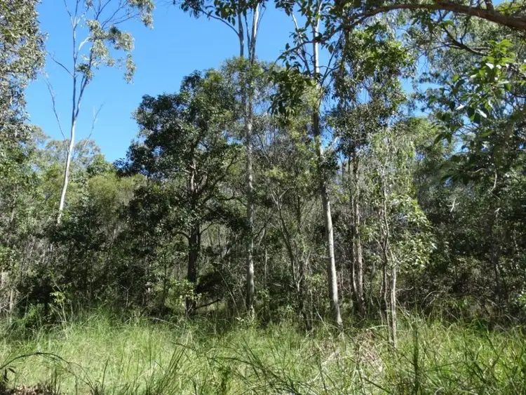 Sixth view of Homely rural property listing, Lot 21 Webster Road, Euleilah QLD 4674