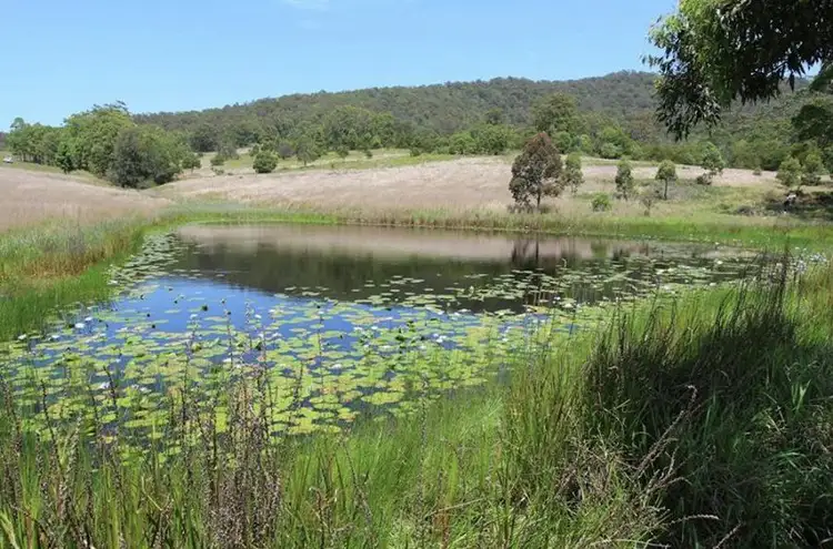 Third view of Homely rural property listing, 12301B Pacific Highway, Coolongolook NSW 2423