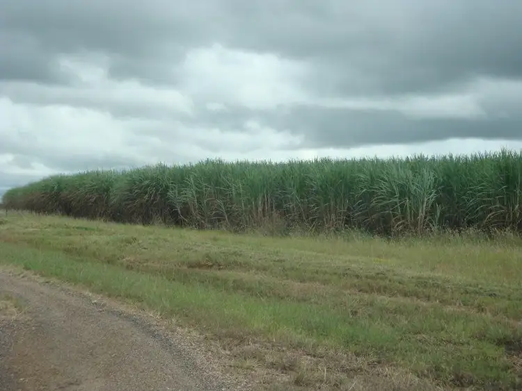 Second view of Homely rural property listing, Address available on request