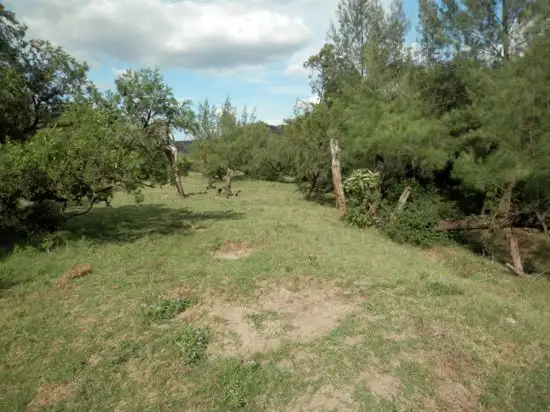 Second view of Homely rural property listing, Lot 9, 1534 Paddys Flat Rd, Tabulam NSW 2469
