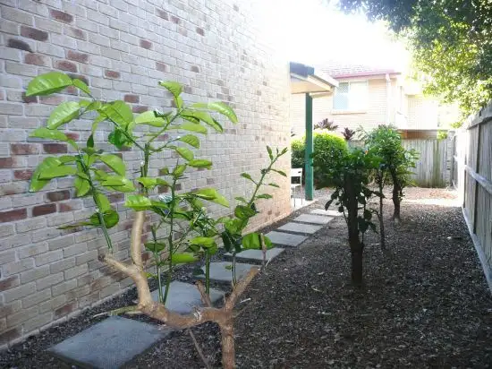 Seventh view of Homely townhouse listing, 81/12 Grandchester St, Sunnybank Hills QLD 4109