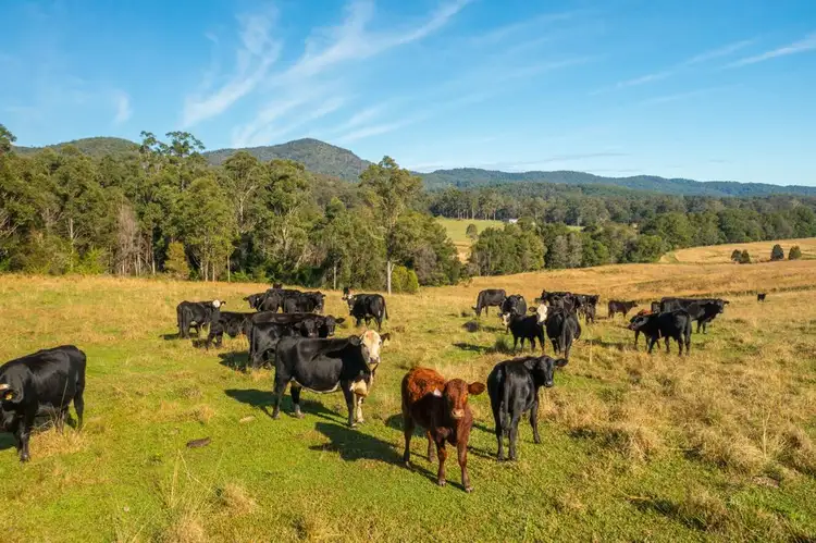 Main view of Homely rural property listing, Lot 1 Myall Scrub Creek Road, Rollands Plains NSW 2441