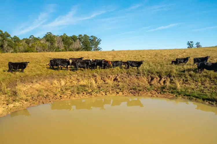 Second view of Homely rural property listing, Lot 1 Myall Scrub Creek Road, Rollands Plains NSW 2441