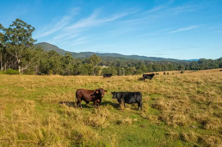 Sixth view of Homely rural property listing, Lot 1 Myall Scrub Creek Road, Rollands Plains NSW 2441