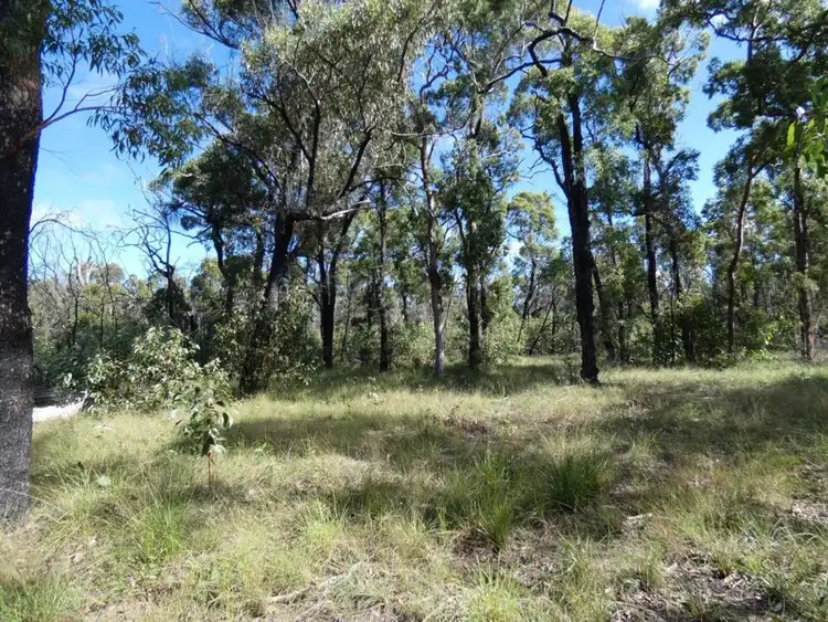 Third view of Homely rural property listing, Lot 4 Matchbox Road, Deepwater QLD 4674